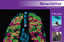 Faculty of Life Sciences - Newsletter Autumn 2012