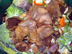 Compost heap