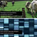 The Centre for the Genetics of Ecosystem Services (CenGESS)