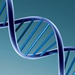 DNA