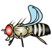 Drosophila